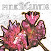 CD Front